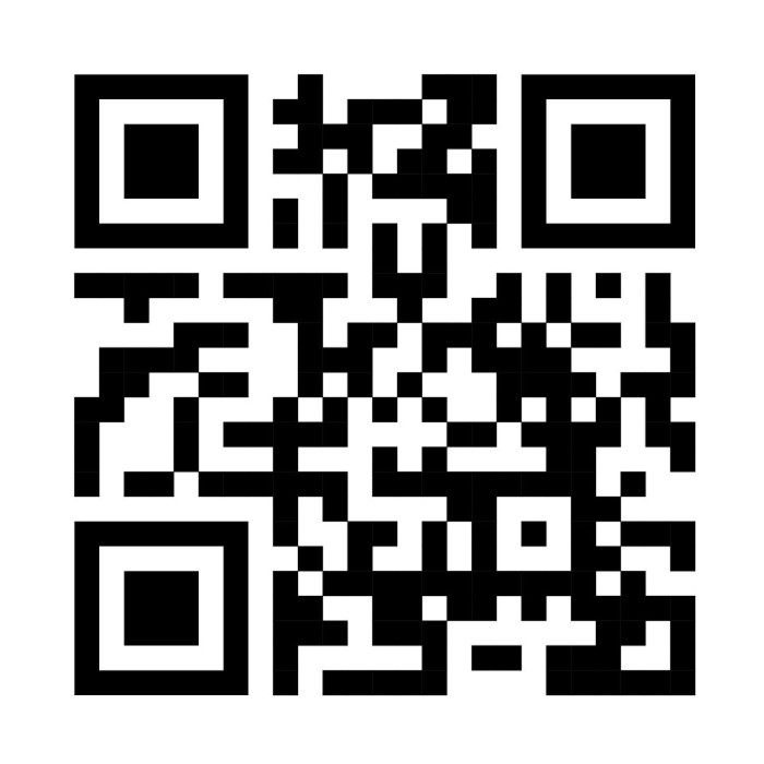 La ferte Saint aubin 1056m²