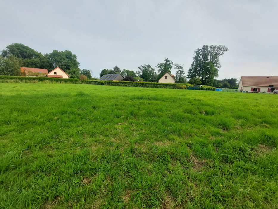 Terrain/Terre à Drosay