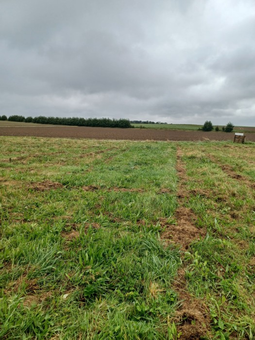Terrain/Terre à Gerponville