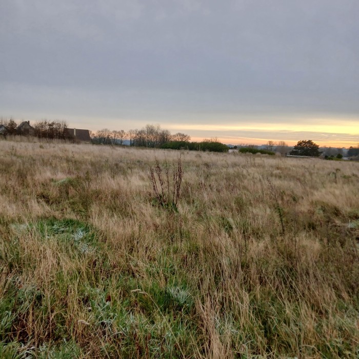 Terrain/Terre à Le Tilleul