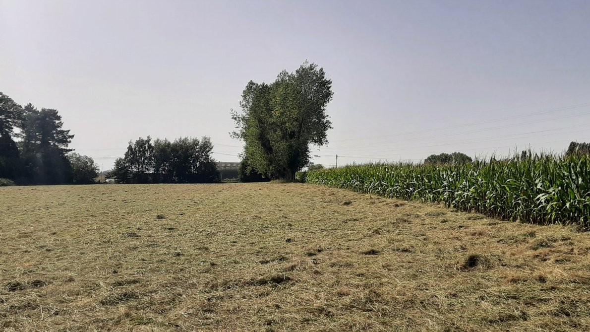 Terrain/Terre à Saint-Jean-du-Cardonnay