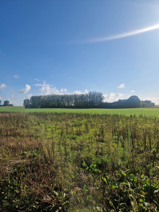 Terrain/Terre à Bosc-le-Hard