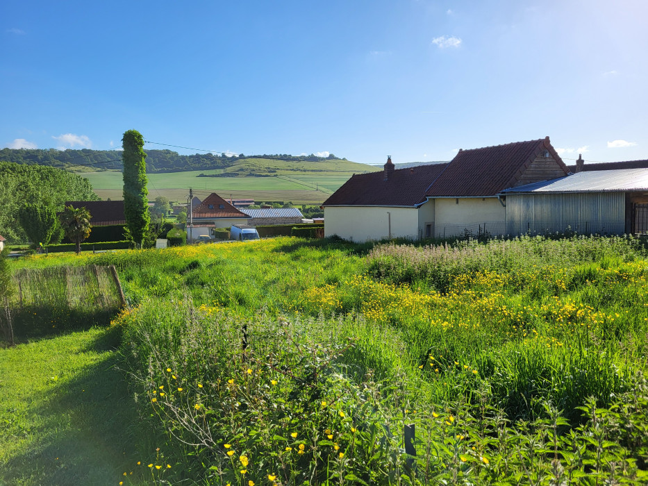 Terrain/Terre à Freulleville