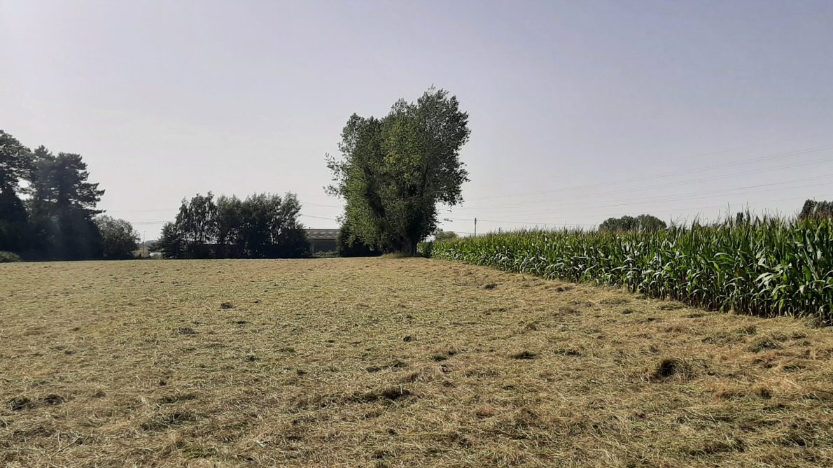 Terrain/Terre à Saint-Jean-du-Cardonnay